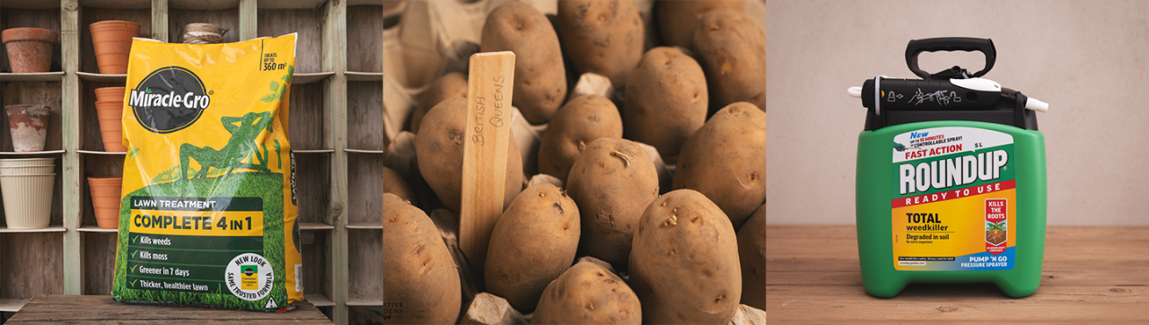 Top Jobs to complete in the garden this April