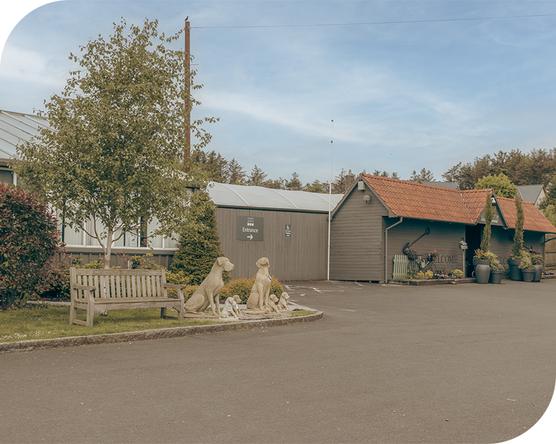 Our Creative Gardens Bushmills Centre