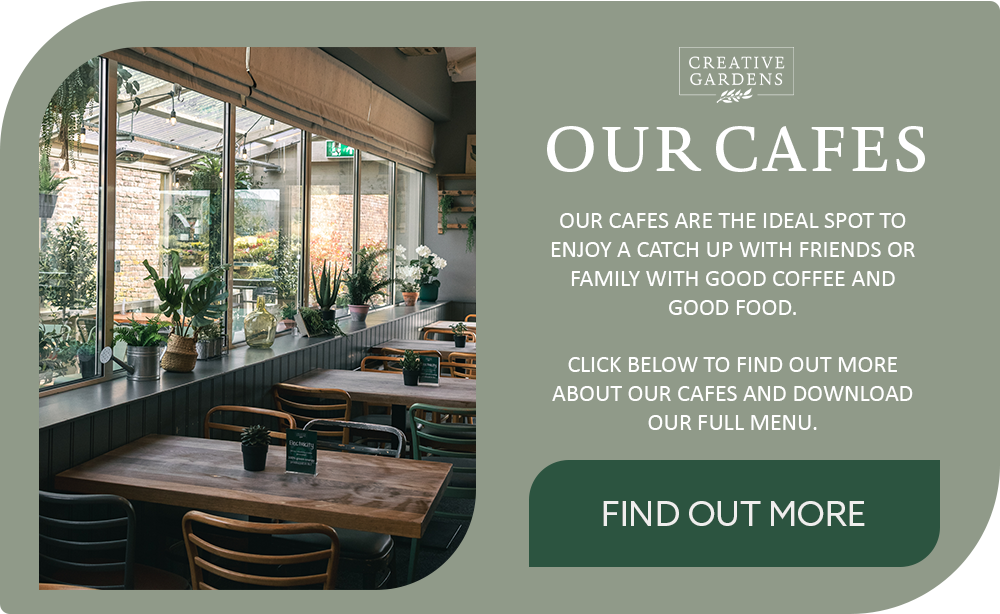 Our cafes are a great place to meet with friends and family over great coffee and great food. Click here to find our more and to download our menu