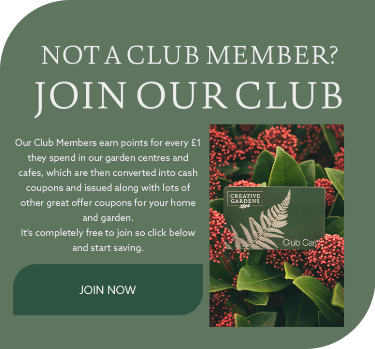Not a Club Member? Join over 50,000 customer who are earning points for every £1 they spend and taking advantage of our exclusive special offer - Click here to join