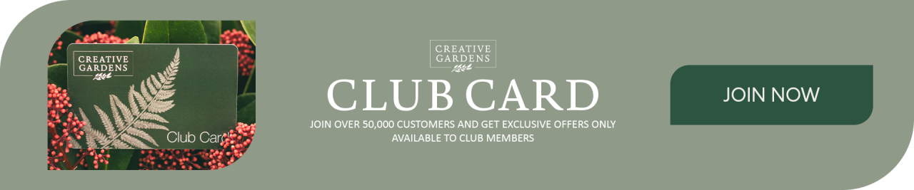 Join over 50,000 members in the Creative Gardens Club - Join Now