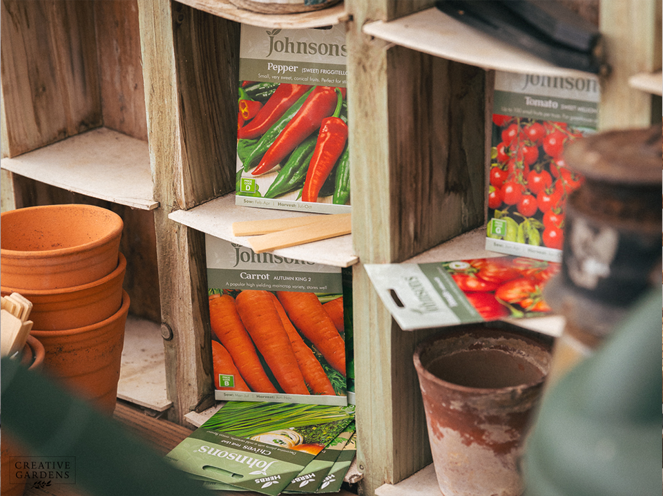 Best Vegetables to grow in Shady Gardens