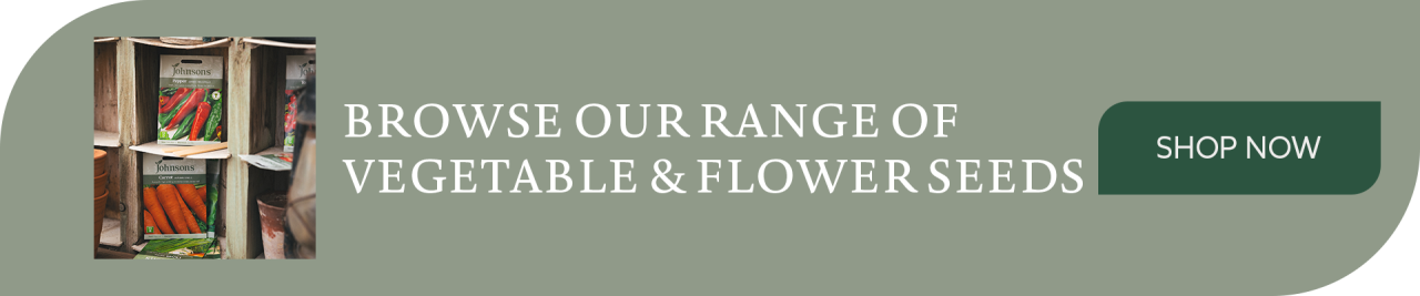 Browse our full range of vegetable and flower seeds