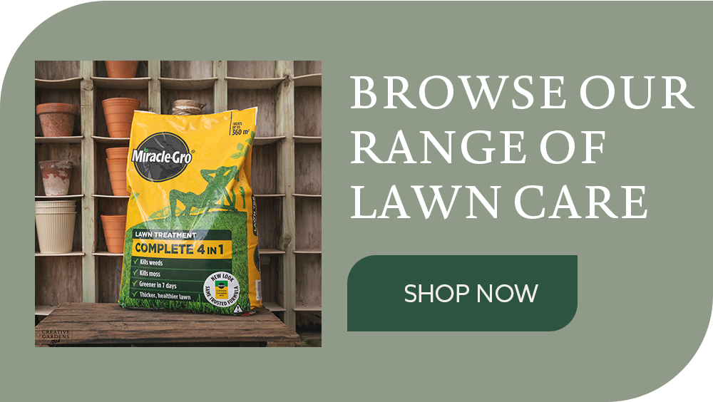 Browse our full range of lawn care products