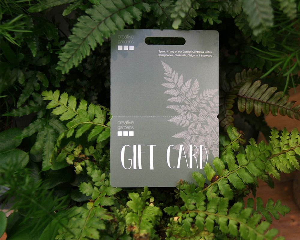 Online Shopping Creative Gardens Creative Gardens