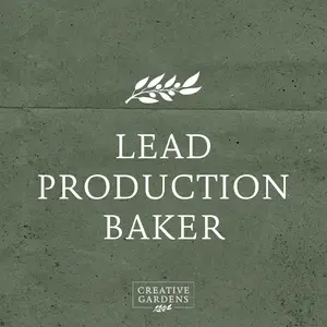 Lead Production Baker, Newtownards (F1002)