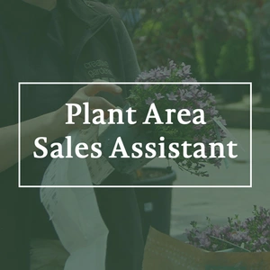 Plant Area Sales Assistant (L2131)