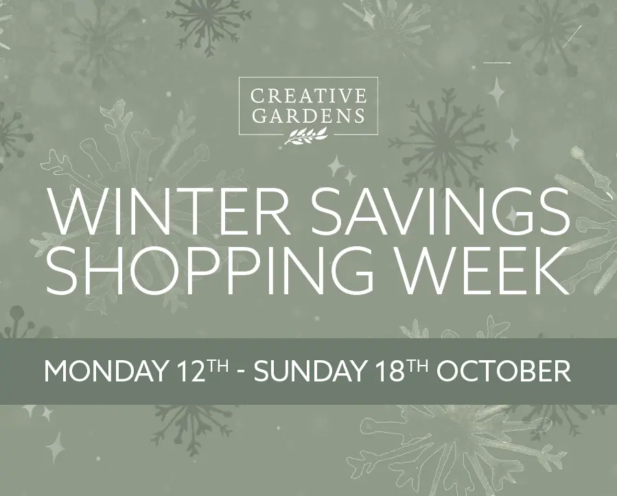Winter Savings Shopping Week