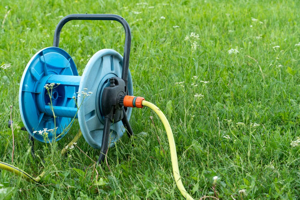 How to give your lawn a flying start in spring