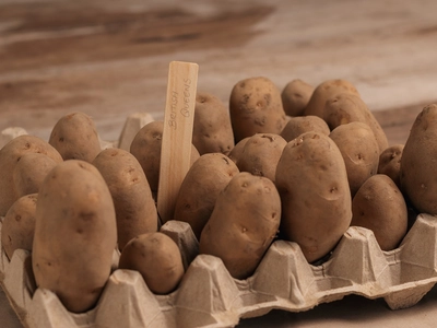Our Top 5 Tips for Growing Potatoes at Home