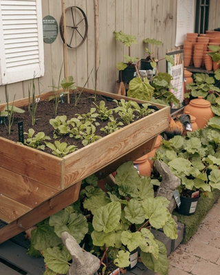 Our Bushmills Centre