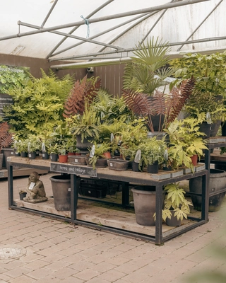 Our Bushmills Centre