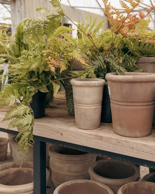 Our Bushmills Centre