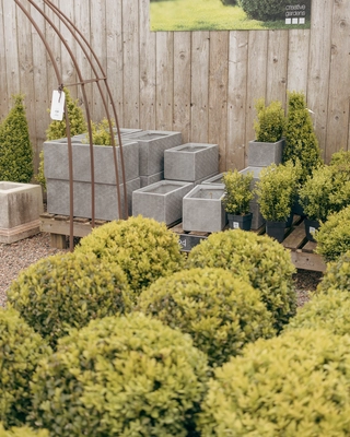 Our Bushmills Centre