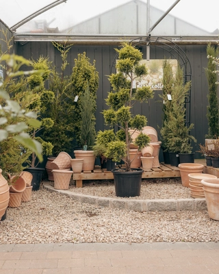 Our Bushmills Centre