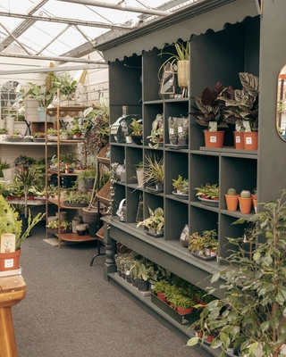 Our Bushmills Centre