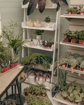 Our Bushmills Centre