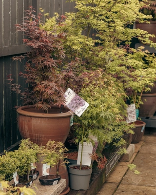 Our Bushmills Centre