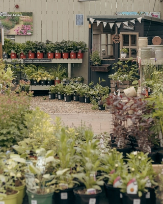 Our Bushmills Centre