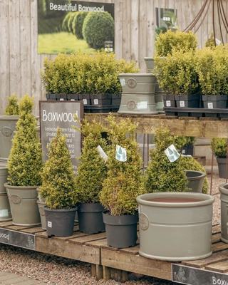 Our Bushmills Centre