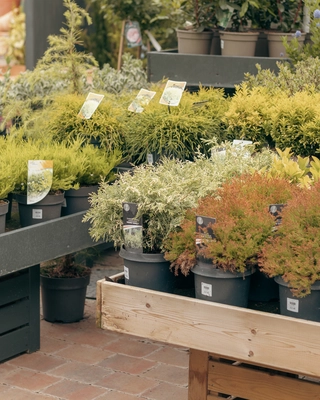 Our Bushmills Centre