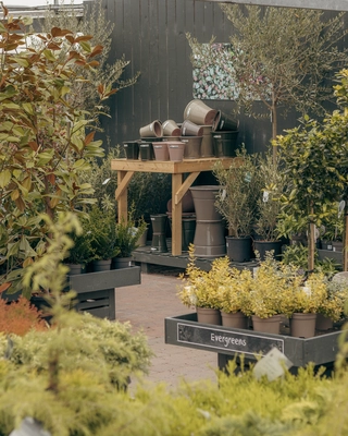 Our Bushmills Centre