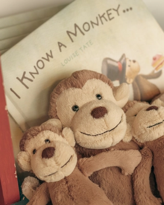 Our Bushmills Centre