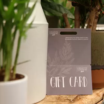£10 Creative Gardens Gift Card - Light Grey