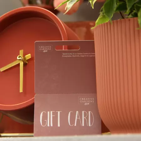 £10 Creative Gardens Gift Card - Pink