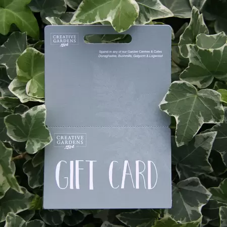 £10 Creative Gardens Gift Card - Teal