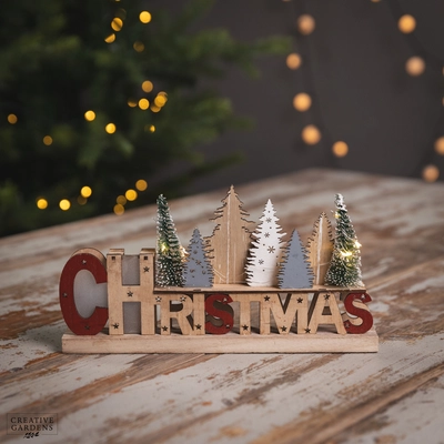 26cm LED Christmas Word Decoration