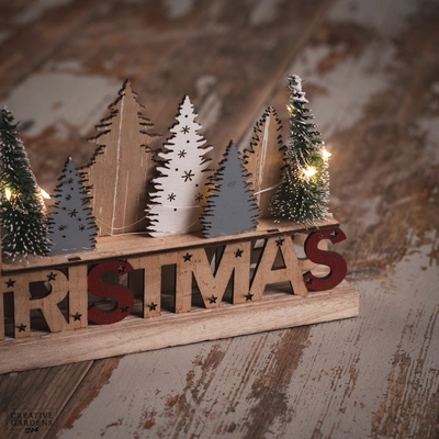 26cm LED Christmas Word Decoration - image 4
