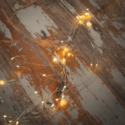 60 Micro LED Bunch Lights - Warm White - image 1