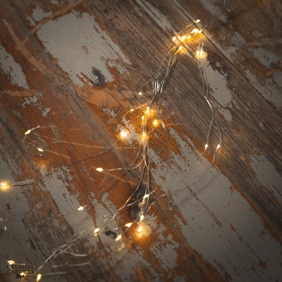 60 Micro LED Bunch Lights - Warm White - image 2