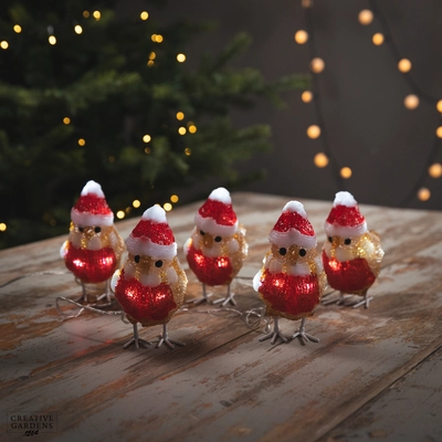Acrylic LED Robin with Hat & Scarf String Lights - image 2
