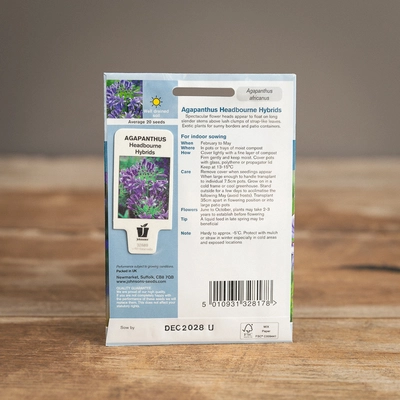 Agapanthus Headbourne Hybrids - image 2