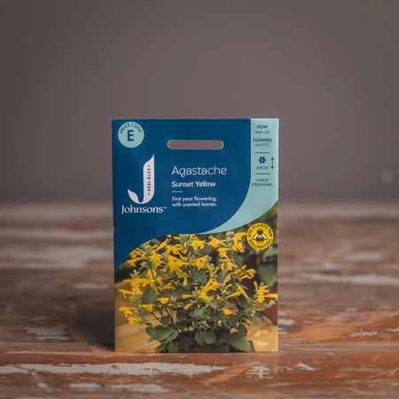 Agastache Sunset Yellow - image 1