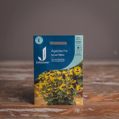 Agastache Sunset Yellow - image 1
