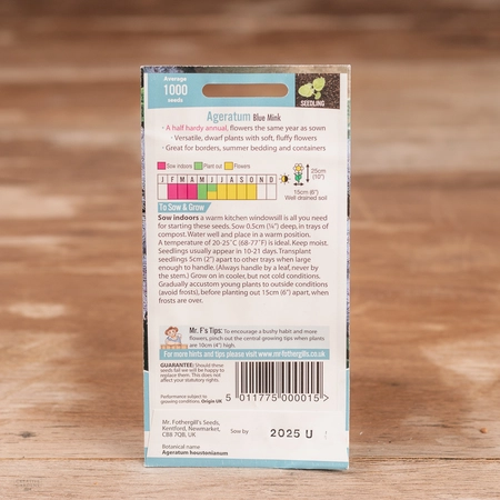 Ageratum Blue Mink - image 2