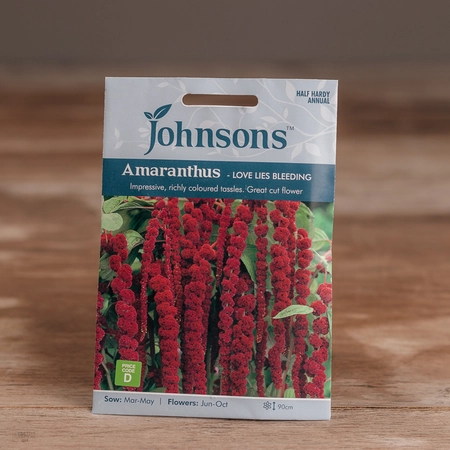 Amaranthus - Love Lies Bleeding - image 1