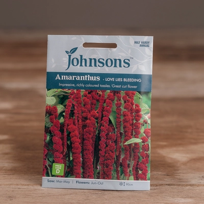 Amaranthus - Love Lies Bleeding - image 1