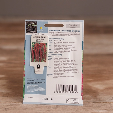 Amaranthus - Love Lies Bleeding - image 2