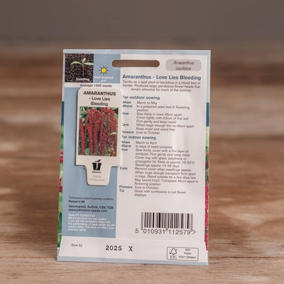 Amaranthus - Love Lies Bleeding - image 2