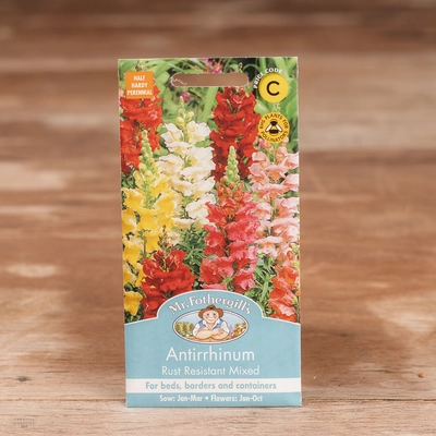 Antirrhinum Rust Resistant Mix - image 1