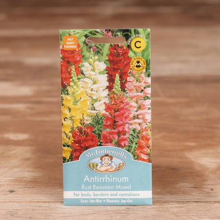 Antirrhinum Rust Resistant Mix - image 1