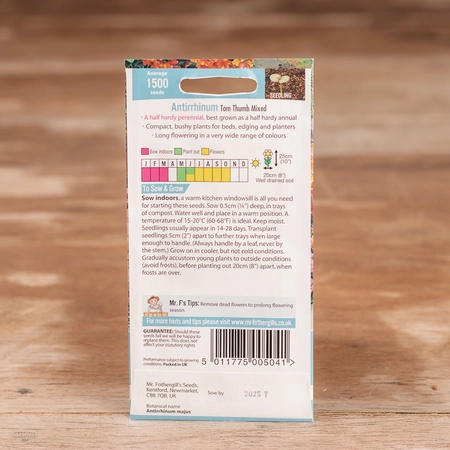Antirrhinum Tom Thumb Mix - image 2