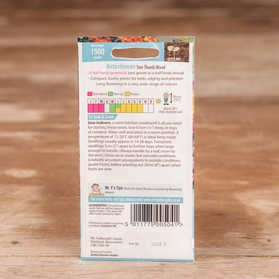 Antirrhinum Tom Thumb Mix - image 2