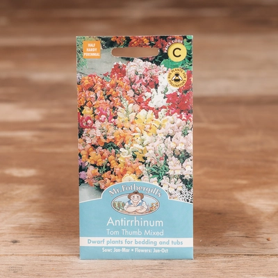 Antirrhinum Tom Thumb Mix