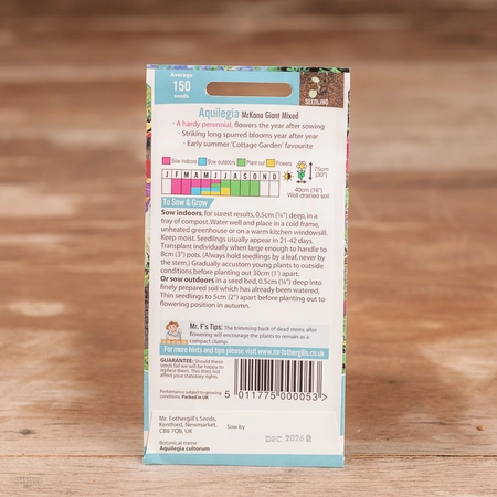Aquilegia Mckana Giant Mix - image 2