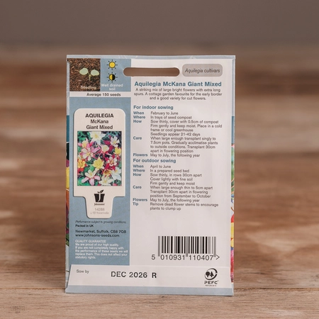 Aquilegia Mckana Giant Mix - image 2